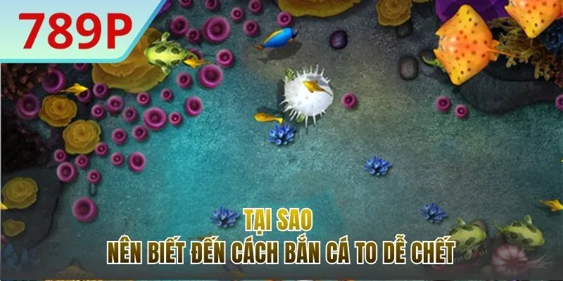 Bất cứ người chơi nào cũng cần biết cách bắn cá to